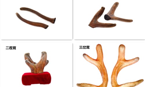 盐酸阿扑舌下片能延时吗-盐酸阿扑吗啡舌下片说明书网—知名的盐酸阿扑舌下片能治疗网站,分享盐酸阿扑玛咖舌下片药效多少钱知识